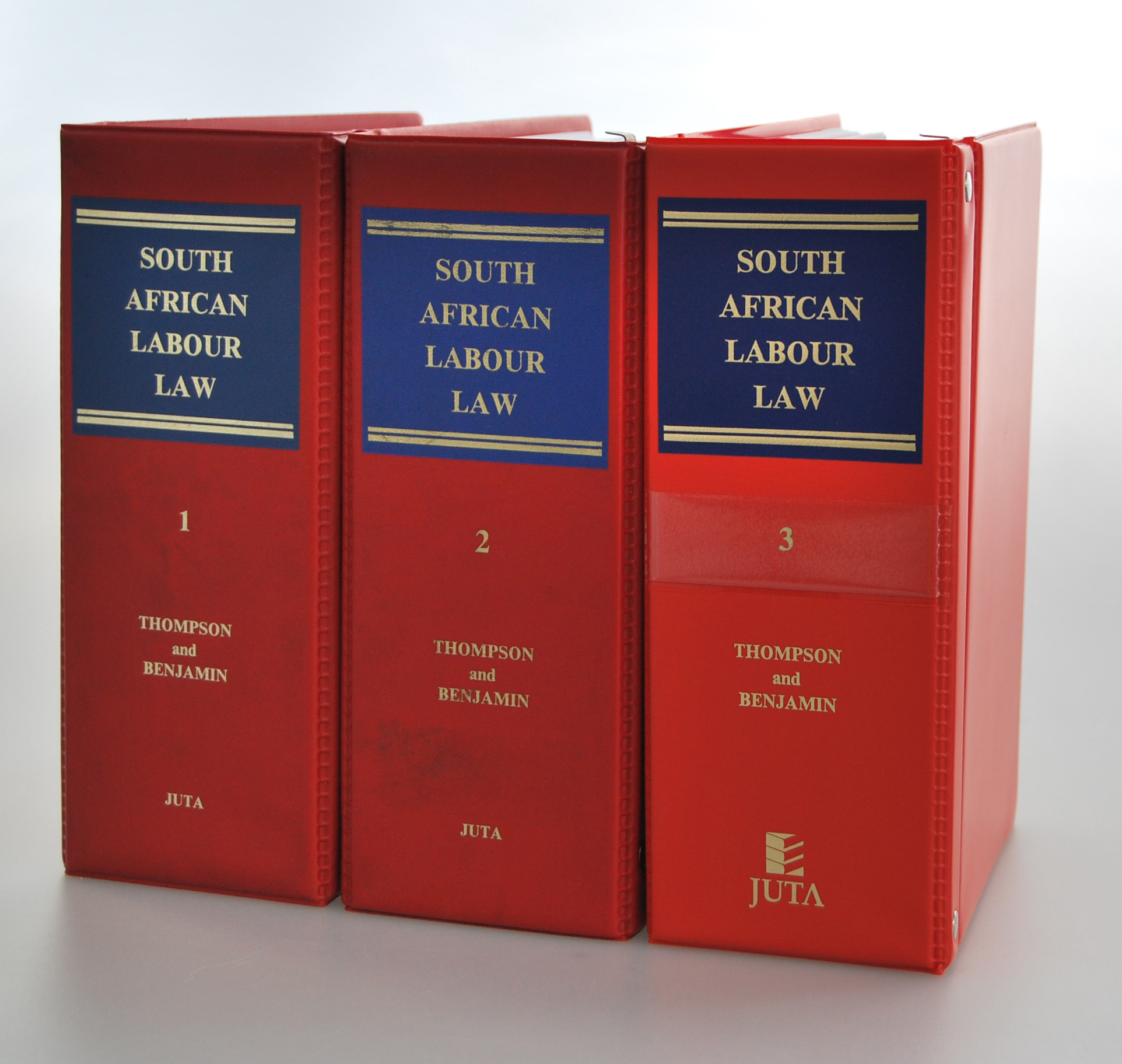 SA Labour Law MV